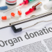 Il processo di donazione di organi in Italia
