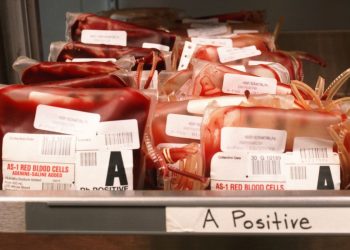 Gestione della Frigoemoteca