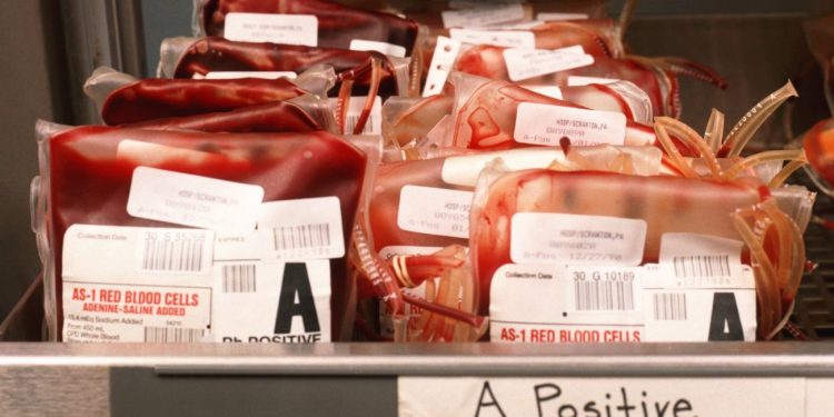 Gestione della Frigoemoteca